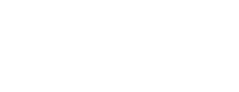 UEFA Europa League